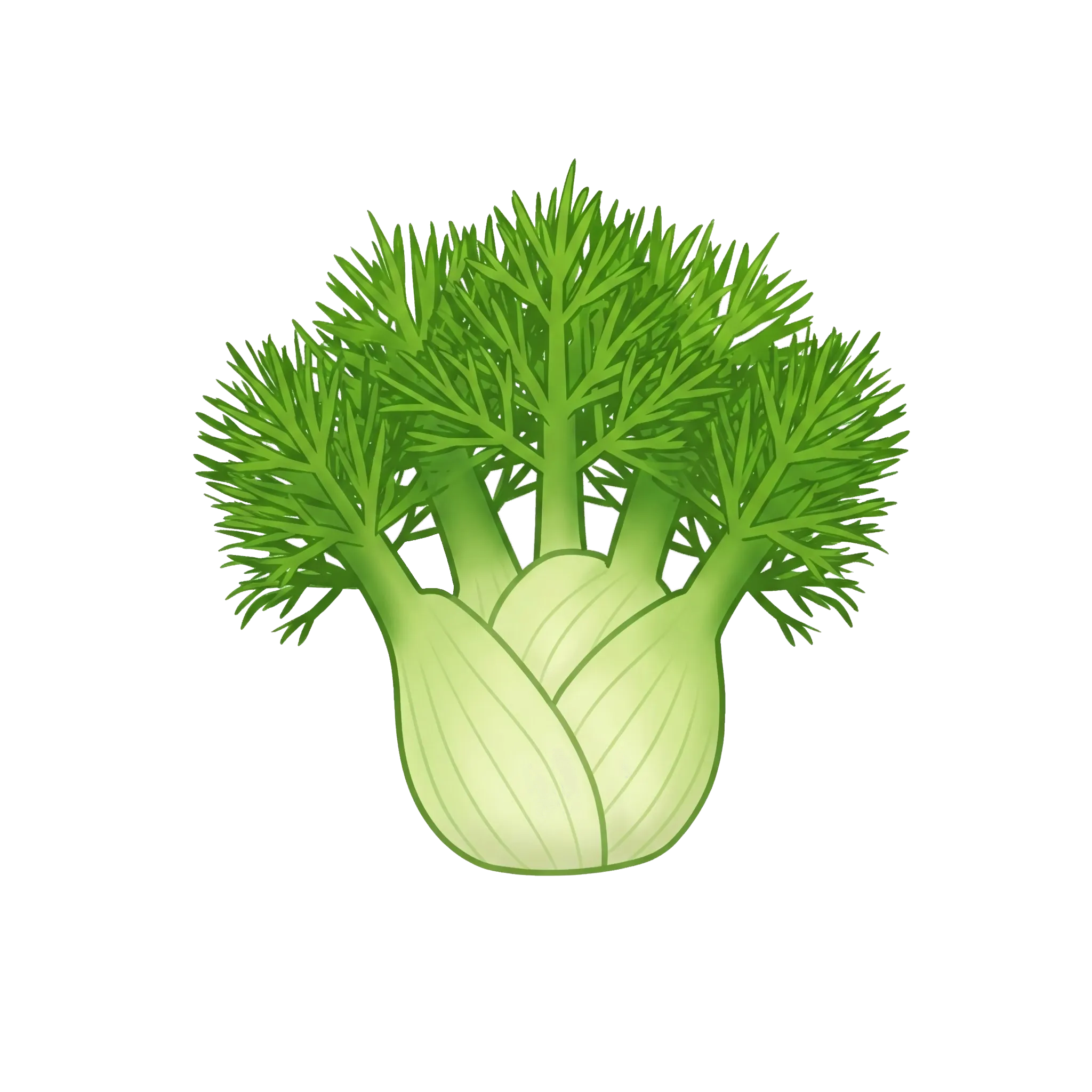 Fenouil bulbeux, Fenouil doux